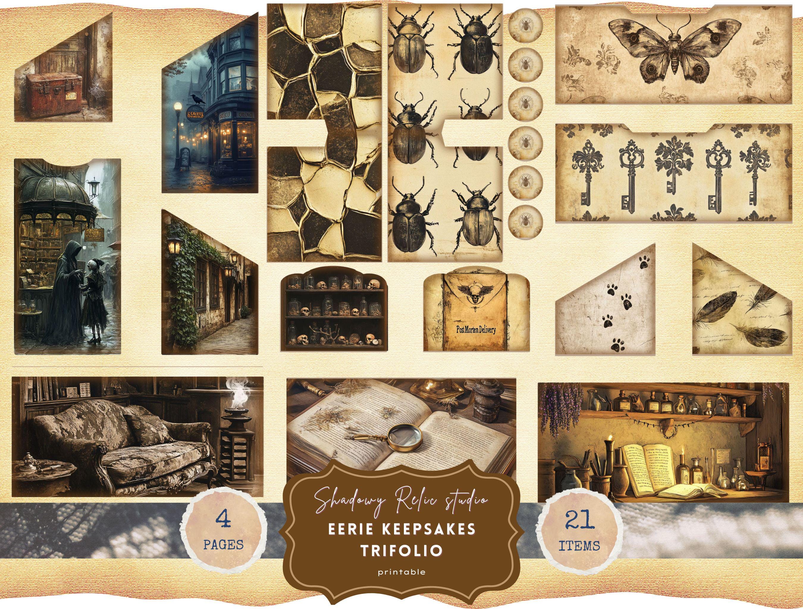 Eerie Keepsakes House Junk Journal Kit, Cabinet of Shadowed Curiosities ...