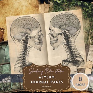 Diario basura Gothic Asylum Papes Páginas de álbum de recortes de efímeras Gothic Macbre Kit de diario basura oscuro Folio tríptico Goth Journal 0281