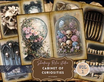 Cabinet of Curiosities Junk Journal Printable Kit Natural History Junk Journal Kit Science Vintage Ephemera Fossils Paper Victorian Spooky