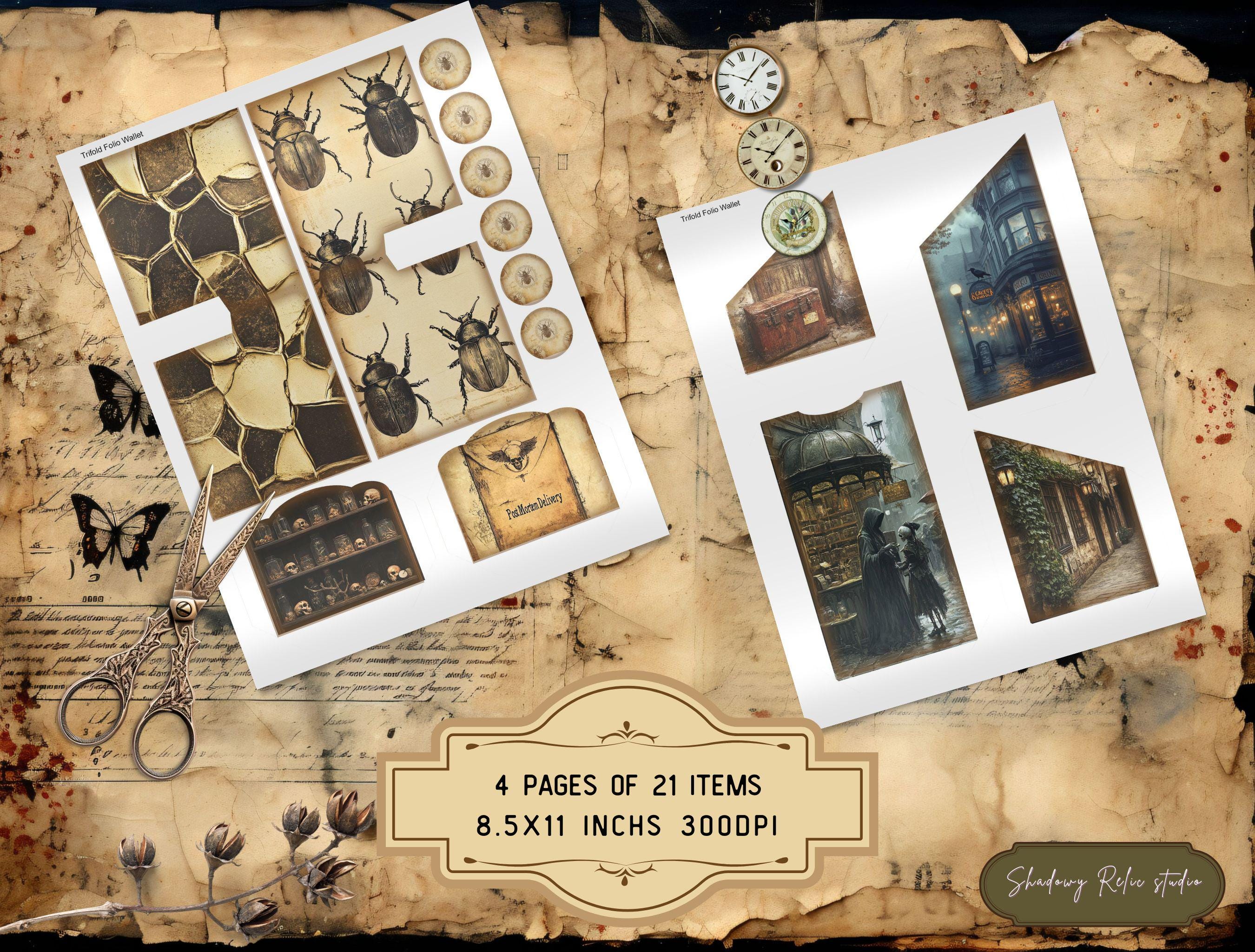 Eerie Keepsakes House Junk Journal Kit, Cabinet of Shadowed Curiosities ...