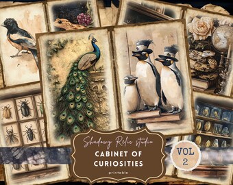 Cabinet of Curiosities Junk Journal Printable Kit Natural History Junk Journal Kit Science Vintage Ephemera Fossils Paper Victorian Spooky