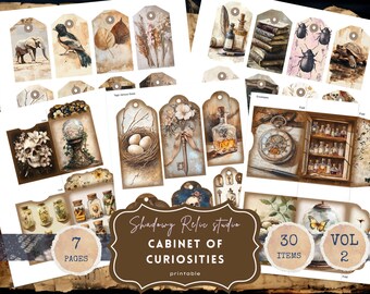 Cabinet of Curiosities Junk Journal Printable Kit Natural History Junk Journal Kit Science Vintage Ephemera Fossils Paper Victorian Spooky
