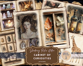 Cabinet of Curiosities Junk Journal Printable Kit Natural History Junk Journal Kit Science Vintage Ephemera Fossils Paper Victorian Spooky