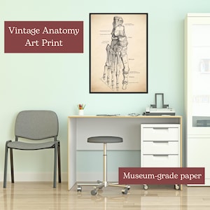 Human Anatomy Art Poster, Vintage Medical Wall Art, Muscle Skeleton Prints, Human Anatomy Artwork, Education Print,Medical Office Wall Decor