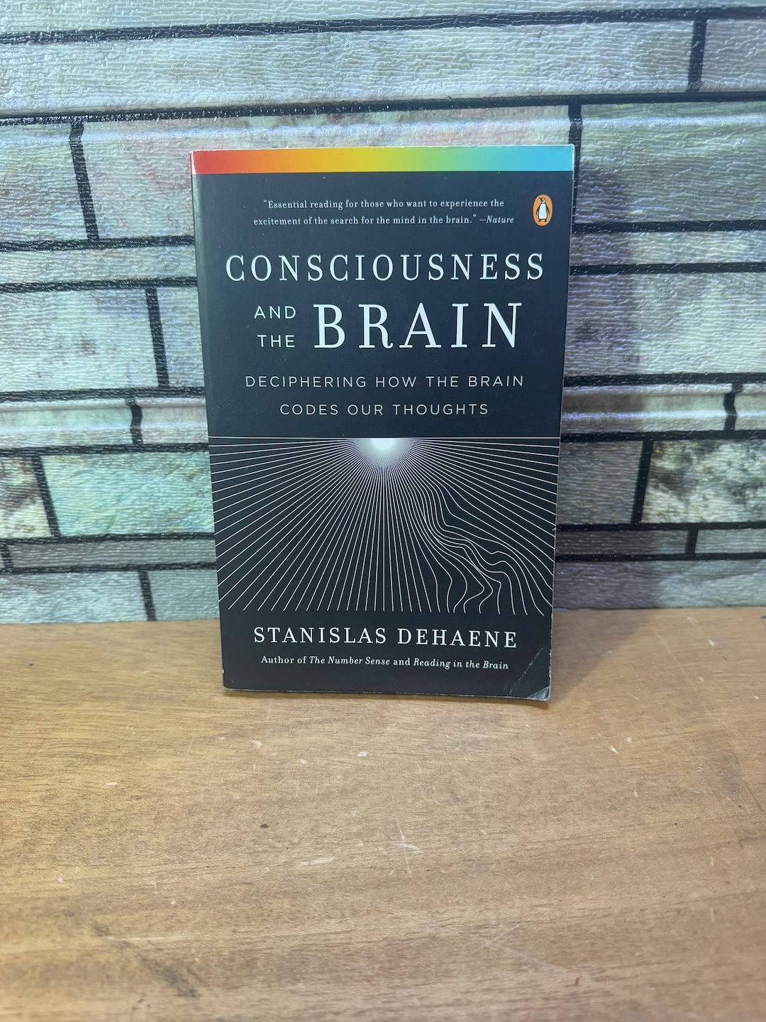 Consciousness and the Brain: Deciphering How the Brain Codes by Dehaene ...