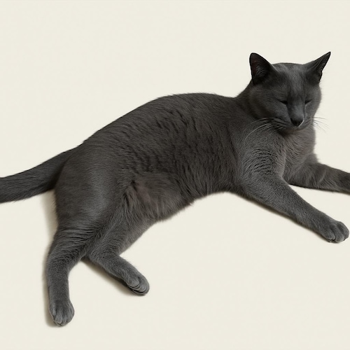 Hofbauer 24% クリスタルガラス 1959 シボレー コルベット W. ドイツ