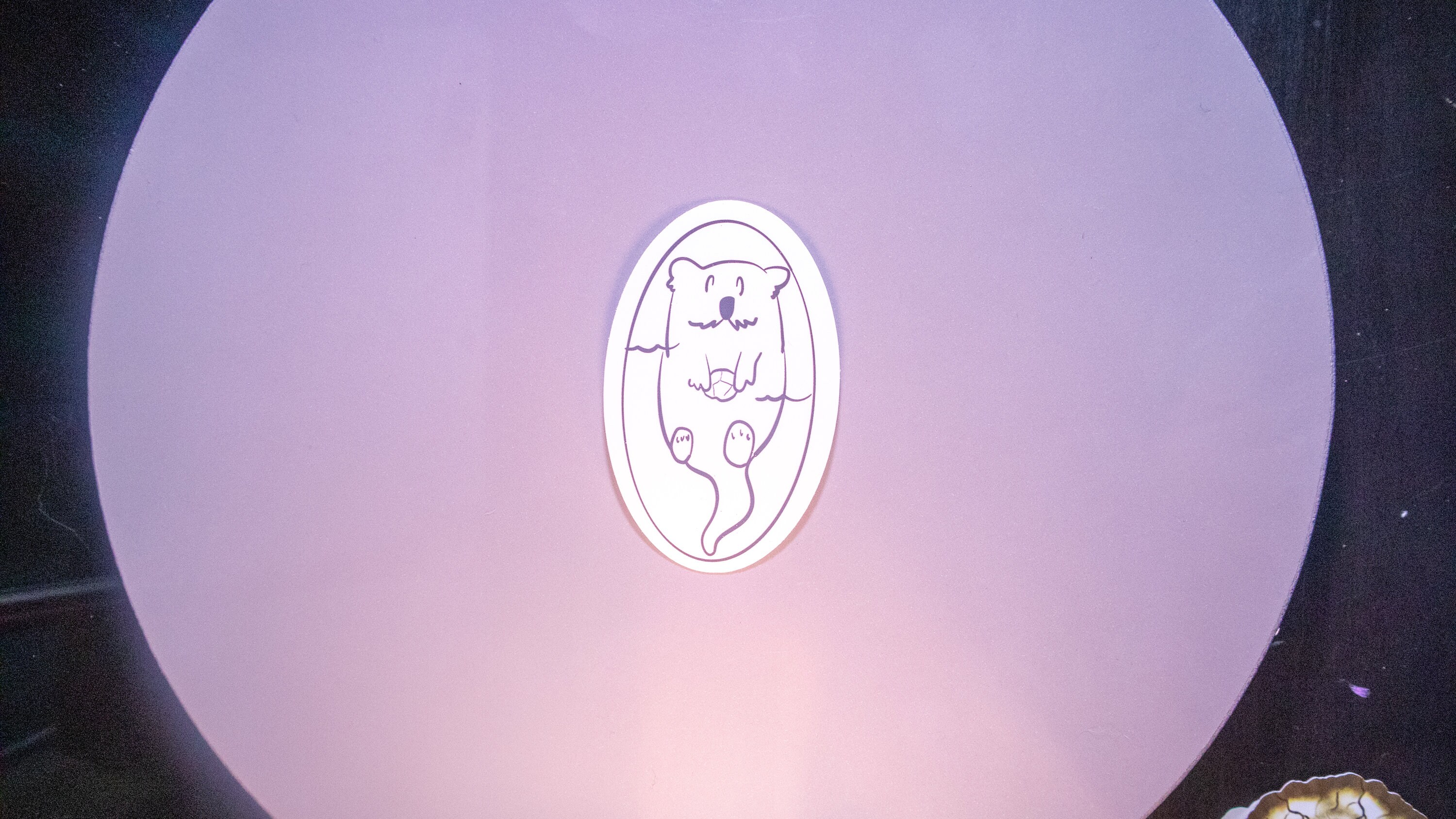 Sticker Pack - Assorted - Etsy