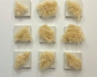 Furry  Matters (2023) Hand Made Fur Wall Sculpture, Wall Hanging Conceptual Art Decor, Scalable Installation 42'x42'