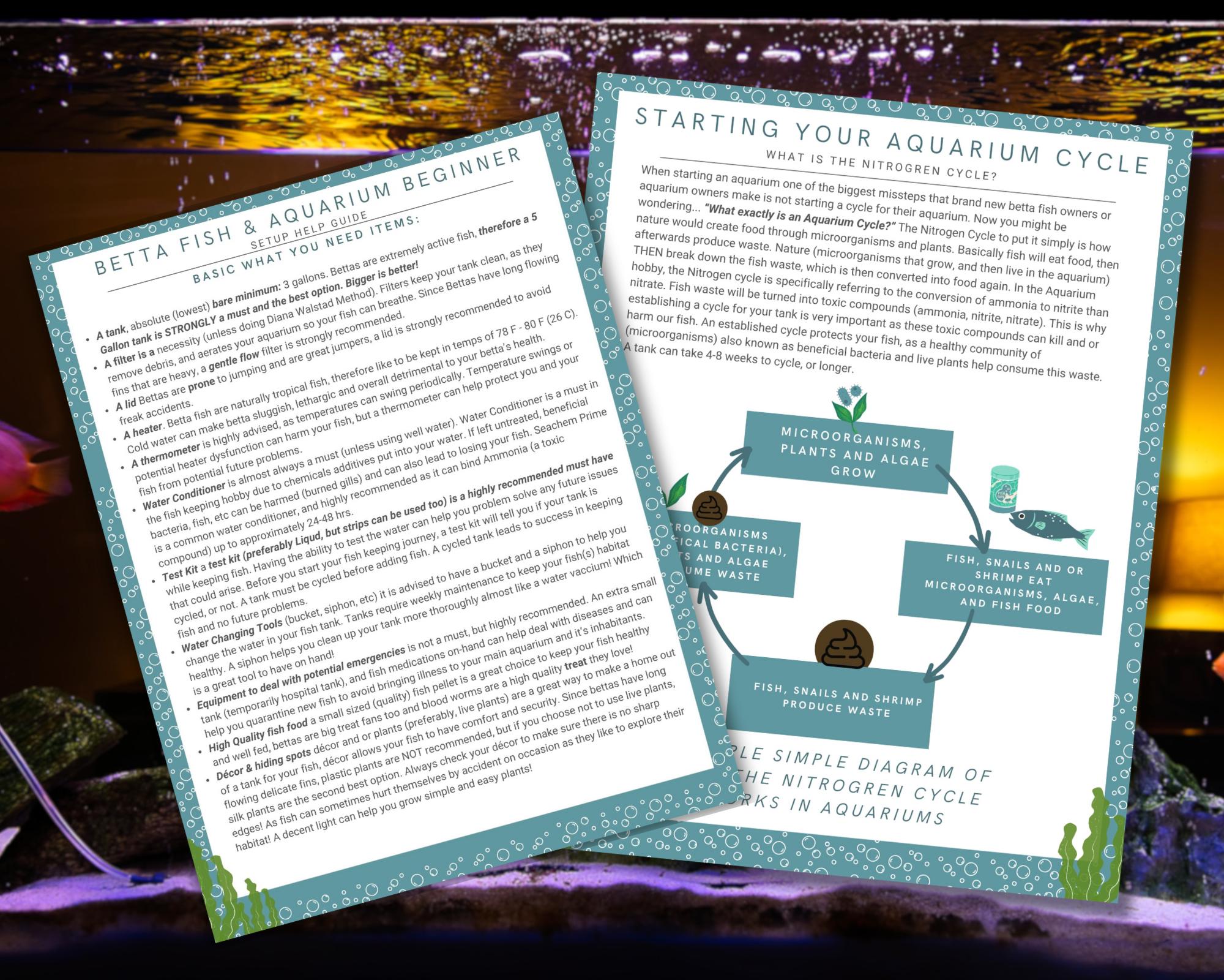 Betta Fish How to Start an Aquarium Starterpack Guide - Cycle Fish Tank ...