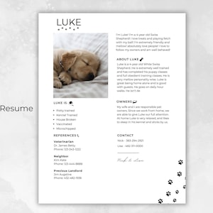 Solicitud de alquiler de currículum de perro, Airbnb, Tenacy, Rescate de perros, Acerca de mi perro, Información, Carta de presentación, Alquiler, Solicitud, Información del propietario