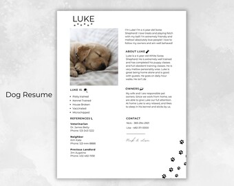 Sjabloon CV-hond voor verhuuraanvraag (digitale download)
