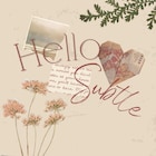HelloSubtle