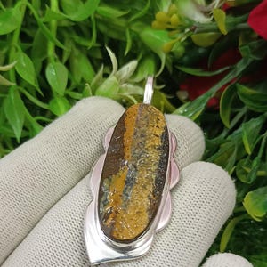 May include: A silver pendant with a yellow, brown, and blue striped stone set in a scalloped frame.