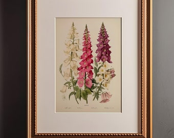 Vintage Botanical Print Foxgloves - 1