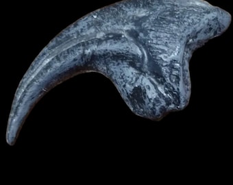 Allosaurus fragilis hand claw fossil cast replica.