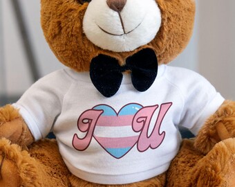 Trans Pride Plush Trans Plush Trans Lives Matter Protect Trans Kids Protect the Dolls Transgender Pride Queer Pride LGBTQIA+ Valentines Gift