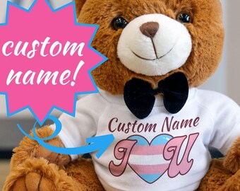 Personalized Trans Pride Plush Custom Trans Plush Trans Lives Matter Protect Trans Kids Protect the Dolls Transgender Queer LGBTQIA+ Gift