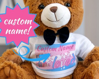 Personalized Trans Pride Plush Custom Trans Plush Trans Lives Matter Protect Trans Kids Protect the Dolls Transgender Queer LGBTQIA+ Gift