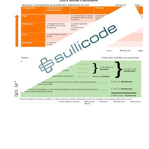 2023 E/M Medical Decision-Making calculator for Office, Outpatient, or Inpatient svcs / visits. Color DIGITAL PDF ONLY