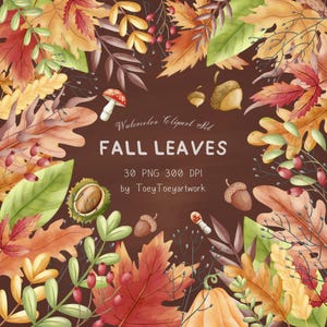 Aquarell Herbst Blätter Clipart, Herbst, Herbst Blätter Clipart, Sofort Download, Ahorn, Laubblätter, Eichel, Blatt, Kürbis, Pilz, kommerzielle Nutzung