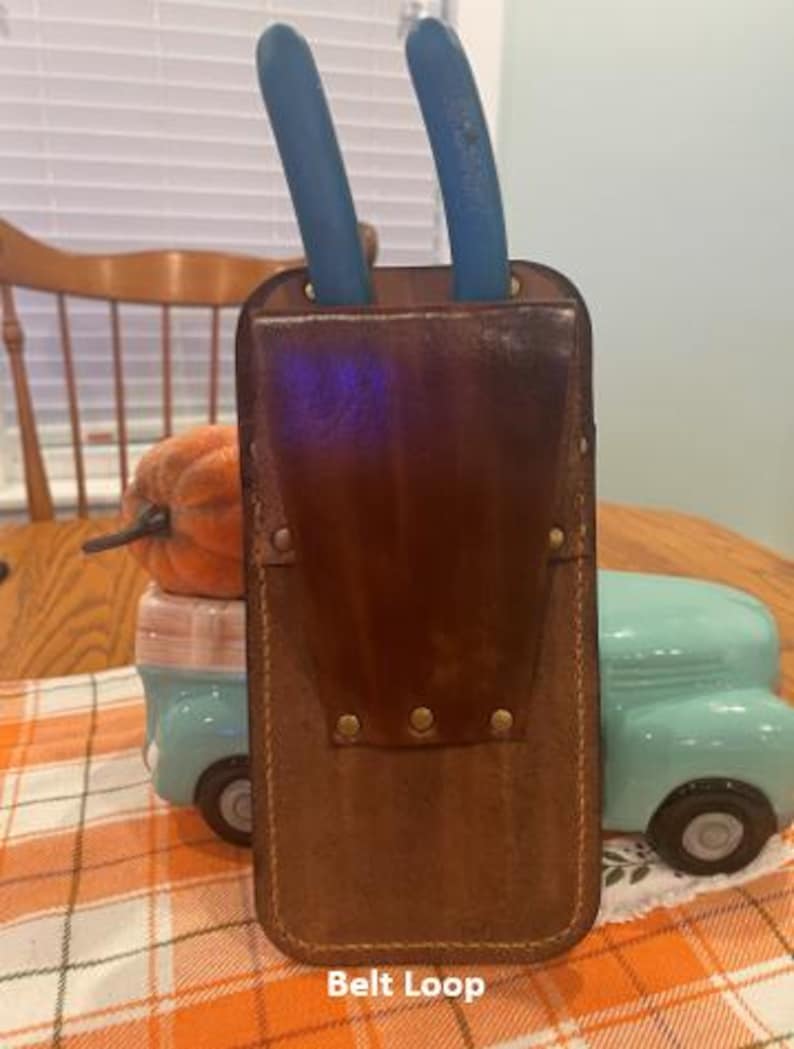 May include: A brown leather tool holder with two blue pruning shears inserted. The holder has a belt loop and brass rivets.