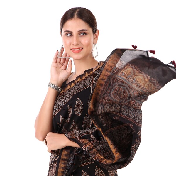 Indian Hand made multicolour ajrakh Chanderi silk with naxi border saree for women and traditional wear