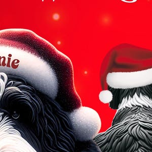 May include: A festive image featuring two Bernedoodle dogs, one facing forward and the other with its back to the viewer, both wearing Santa hats. The text "Buy With Confidence!" is at the top, with shop details and quality badges.