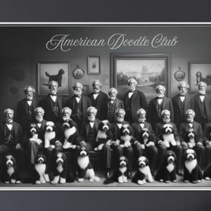 Vintage Bernedoodle Canvas Art: 1800s American Doodle Club Style image 1