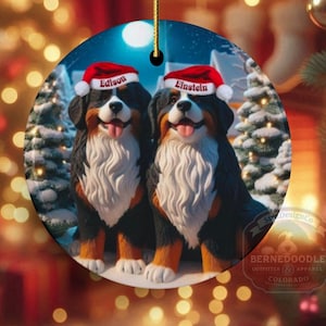 Op de afbeelding: Een ronde kerstversiering met twee Bernedoodle honden met kerstmutsen met de namen "Edison" en "Einstein". De honden staan tegen een besneeuwde wintersc&egrave;ne met kerstbomen. De versiering hangt aan een gouden draad.