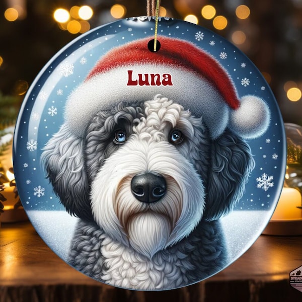 Eye Doodle Dog, Personalized Holiday Ornament | Sublimation Ceramic | 2.76 Inch Keepsake