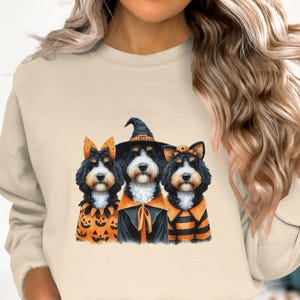 May include: A beige sweatshirt featuring a Halloween-themed graphic of three dogs dressed in costumes. The dogs are black, white, and brown, with orange and black outfits, including a witch hat and pumpkin accents.