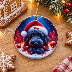 May include: A round ceramic Christmas ornament featuring a black dog wearing a red and white Santa hat. The name Tilly is printed in red on the hat brim. The background shows a blue starry night scene with red berries and glowing lights.