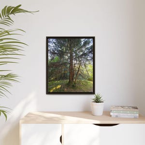 Alaskan Rainforest Framed Canvas Print: Nature Wall Decor image 4
