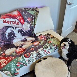 Sweet Bernie The Bernedoodle, surrounded by amazing Christmas motif, captured on a gorgeous sherpa fleece blanket!