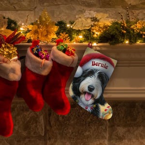 Op de afbeelding: Rode kerstsokken met witte randen hangen boven een open haard, sommige gevuld met cadeaus. Een gepersonaliseerde kous toont een hond met een kerstmuts, met de naam "Bernie".
