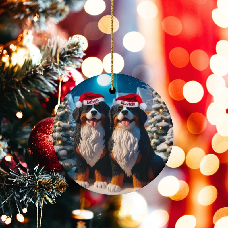 Op de afbeelding: Een ronde kerstversiering met twee Berner Sennenhonden met kerstmutsen. Op de mutsen staan de namen "Edison" en "Einstein". De honden staan voor een besneeuwde wintersc&egrave;ne. De versiering hangt aan een gouden touwtje.