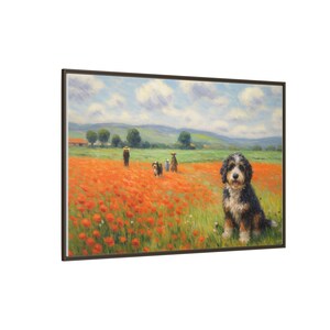 Bernedoodle Classic in un campo di papaveri - Tela incorniciata immagine 18