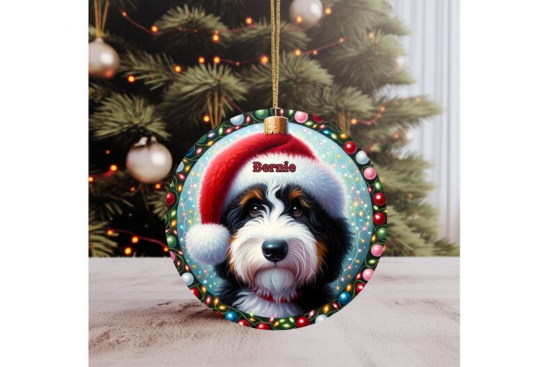 Sweet bernedoodle on his first Christmas with his personalized Santa hat on!