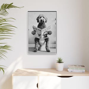 May include: A black and white framed wall art print depicting a curly-haired dog sitting on a toilet while reading a newspaper titled The Daily Dog. The dog is positioned upright, holding the open newspaper with its front paws in a humorous pose.