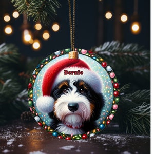 Sweet bernedoodle on his first Christmas with his personalized Santa hat on!