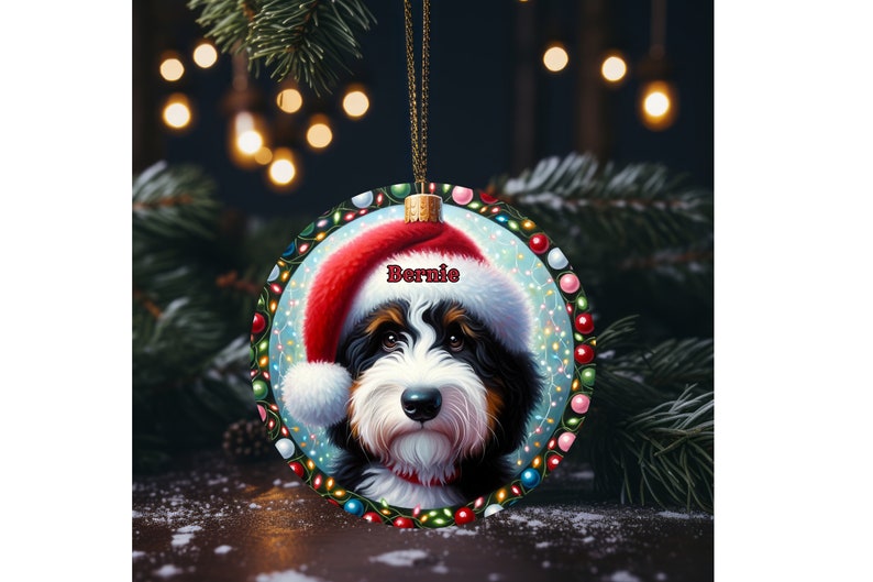 Sweet bernedoodle on his first Christmas with his personalized Santa hat on!