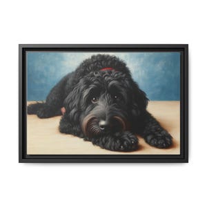 May include: A framed canvas print featuring a black dog with a red collar, lying down. The dog has a long, curly coat and a brown muzzle. The background is a light blue color.