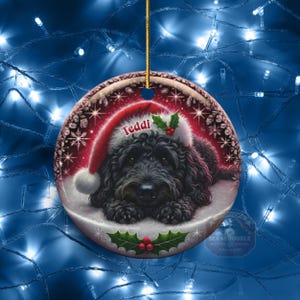 May include: A round Christmas ornament featuring a black dog wearing a Santa hat with the name "Teddi". The ornament has a red and white border with snowflakes and holly accents. The ornament is hanging by a gold string.