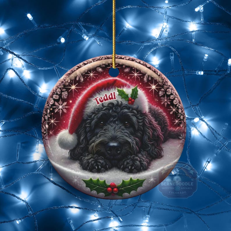 May include: A round Christmas ornament featuring a black dog wearing a Santa hat with the name "Teddi". The ornament has a red and white border with snowflakes and holly accents. The ornament is hanging by a gold string.