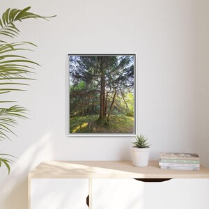 Alaskan Rainforest Framed Canvas Print: Nature Wall Decor image 5