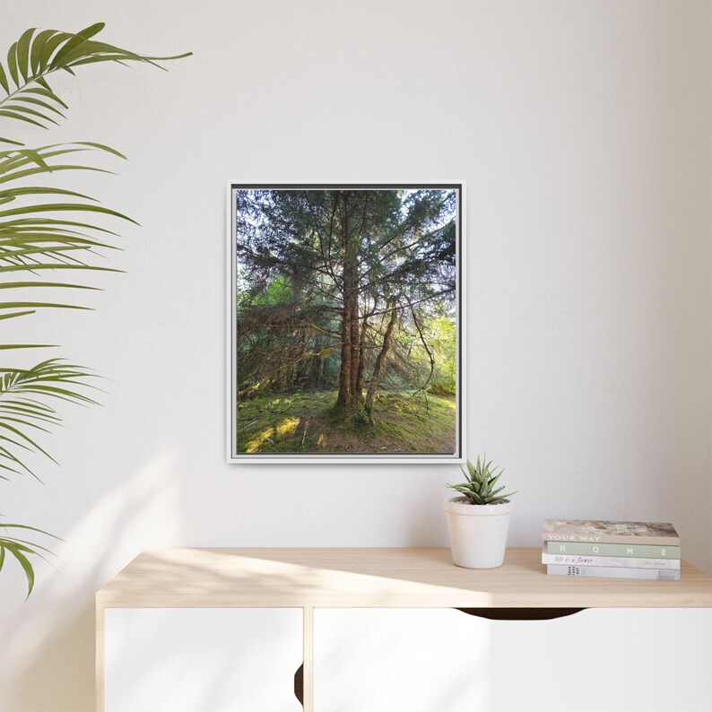 Alaskan Rainforest Framed Canvas Print: Nature Wall Decor image 5