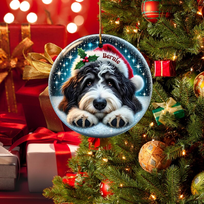 May include: A round Christmas ornament featuring a black and white dog wearing a Santa hat with the name "Bernie". The ornament has a snowy background with holly and stars. The ornament is hanging on a Christmas tree.