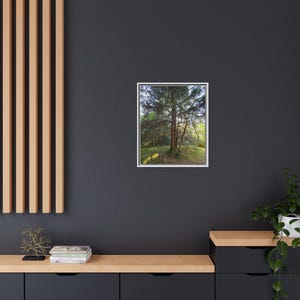 Alaskan Rainforest Framed Canvas Print: Nature Wall Decor image 9