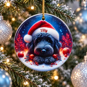 May include: A round ceramic Christmas ornament featuring a fluffy black dog wearing a red Santa hat with the name Tilly printed on the brim. The background shows a snowy scene with red berries and glowing red ornaments under a starry sky.