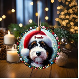Sweet bernedoodle on his first Christmas with his personalized Santa hat on!